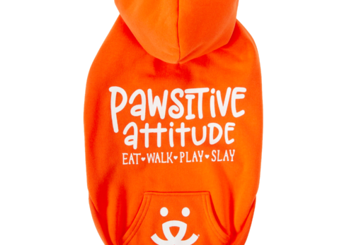 How Your Positive Attitude Affects Your Pets: The Power of Positivity in Pet Care