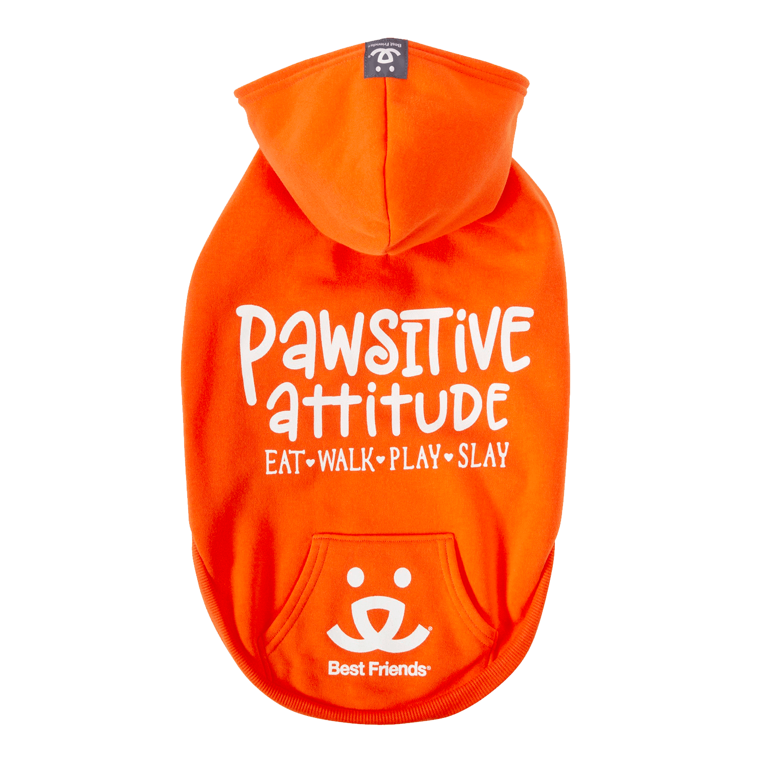 How Your Positive Attitude Affects Your Pets: The Power of Positivity in Pet Care