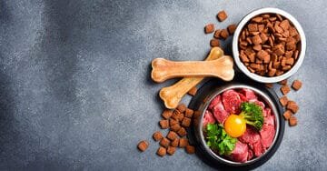 How to Choose the Best Food for Your Puppy: A Guide to Healthy Beginnings.